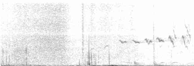 Weißbrauen-Heckensänger [leucophrys-Gruppe] - ML168250011