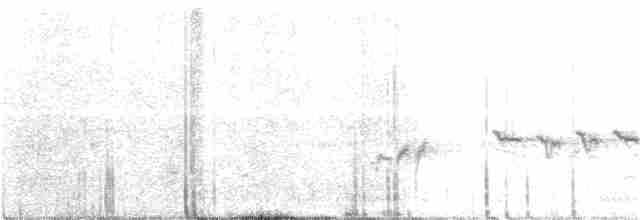 Weißbrauen-Heckensänger [leucophrys-Gruppe] - ML168250341