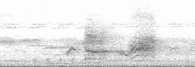 Crested Barbet - ML168259