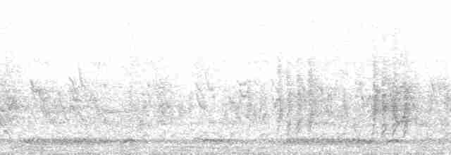 Meves Sığırcığı (mevesii) - ML168272