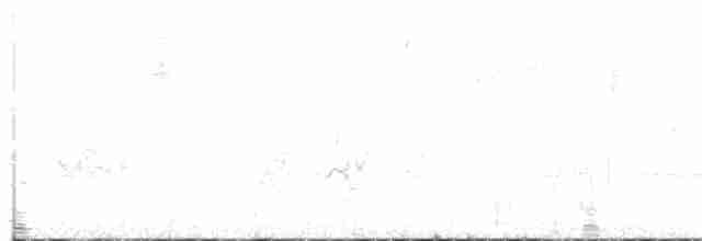 Гострохвіст рудогорлий - ML168279091