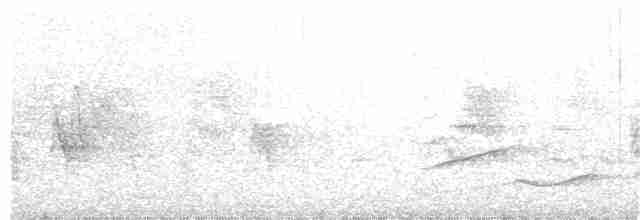 Розовогорлая пиранга - ML168295581