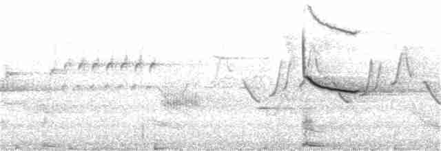 Al Kanatlı Karatavuk [phoeniceus grubu] - ML168319351