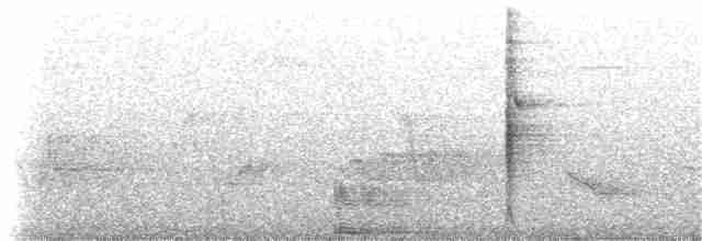 Al Kanatlı Karatavuk [phoeniceus grubu] - ML168319431