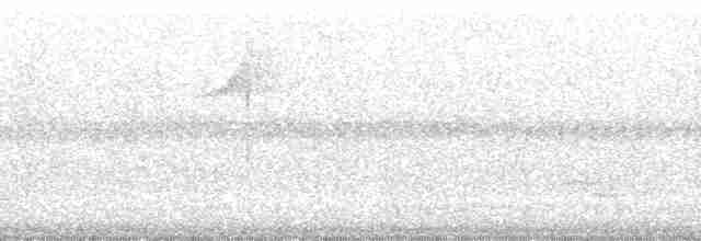 Pracht-Kragenparadiesvogel - ML168359