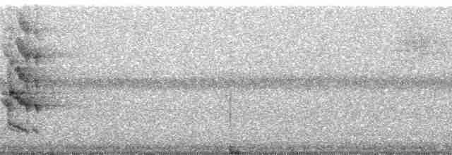 Pracht-Kragenparadiesvogel - ML168361