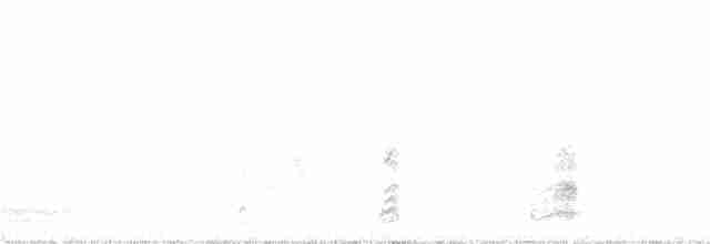 Белокрылый корхан - ML168377191