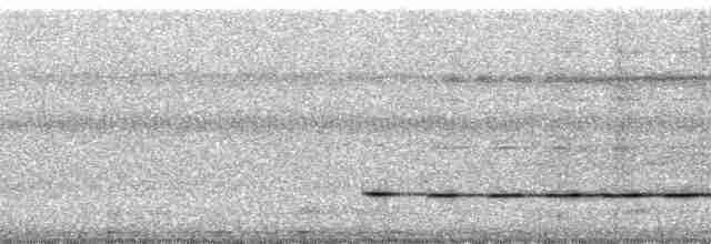 Ошейниковая дриада - ML168398