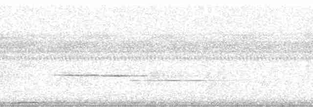 Каштановый флейтист - ML168399