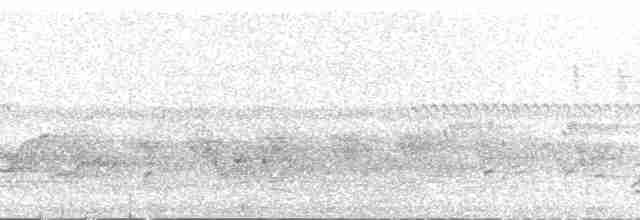 Bulbul à huppe noire - ML168406