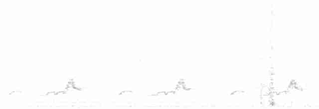 Schwarzkehl-Nachtschwalbe - ML168447151