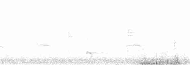 Mönchsgrasmücke - ML168456051