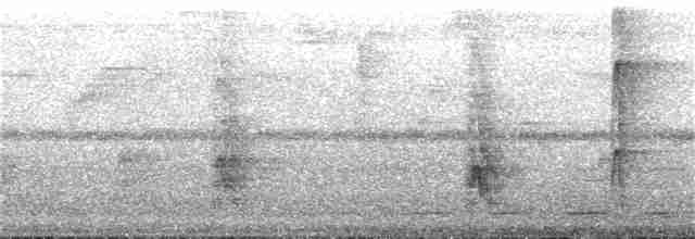 Streifenbrust-Ameisendrossel - ML168458391