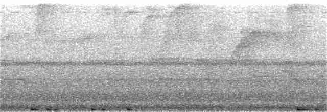 Turuncu Gagalı Bülbül Ardıcı - ML168458431