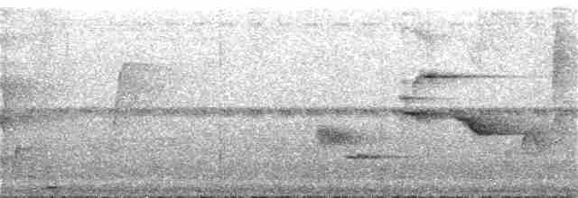 Turuncu Gagalı Bülbül Ardıcı - ML168458471