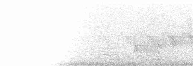 hvitbrynsvartspett - ML168460381