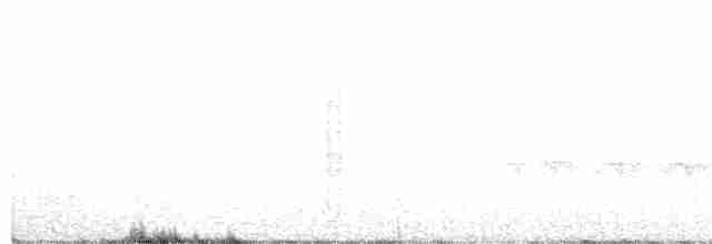 Bruant fauve (groupe megarhyncha) - ML168485891