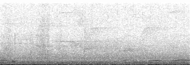 holub šedorůžový - ML168487721