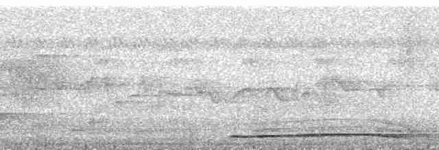 Кораловоклювая воронья кукушка - ML168490