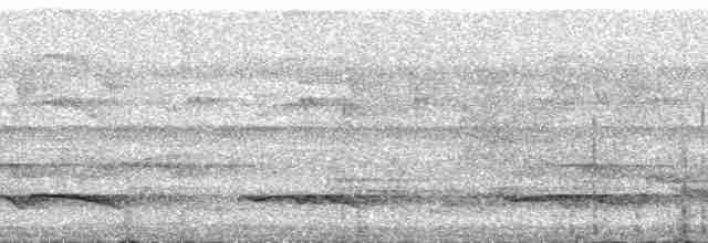 Полосатый зимородок - ML168498
