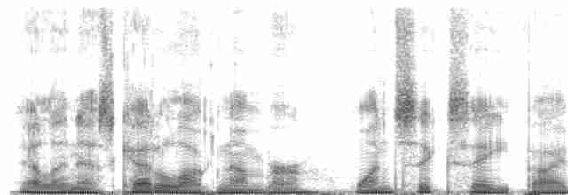 Полосатый зимородок - ML168503