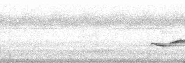 Puff-throated Babbler - ML168506