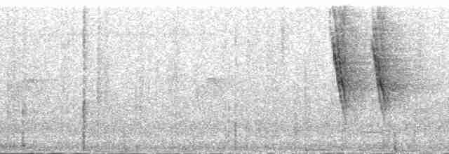 Зондский дронго - ML168515