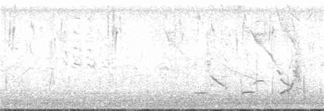 Crested Bobwhite - ML168520261
