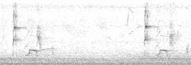 Морщинистоклювая ани - ML168520471