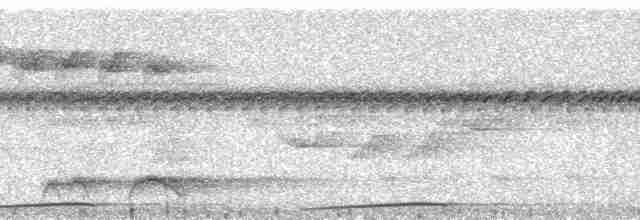 holub světleoký - ML168521