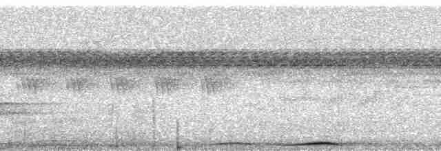 holub černošíjný - ML168525