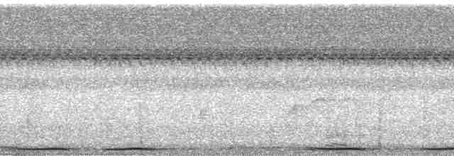 holub černošíjný - ML168528