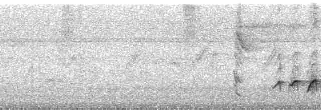 Зондский дронго - ML168529
