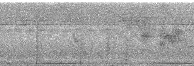 holub černošíjný - ML168530