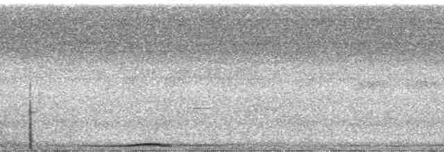 holub černošíjný - ML168531