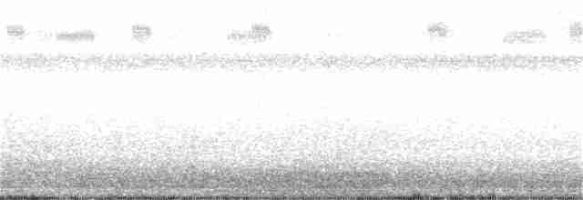 Antillennachtschwalbe - ML168537141