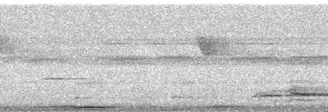 holub černošíjný - ML168543