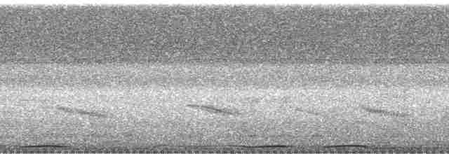 holub černošíjný - ML168551
