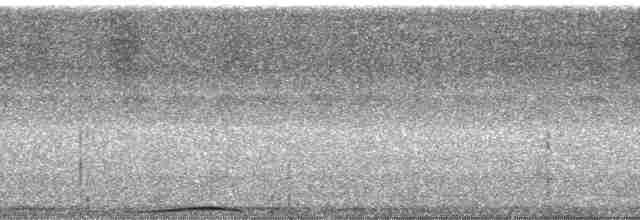 holub černošíjný - ML168552