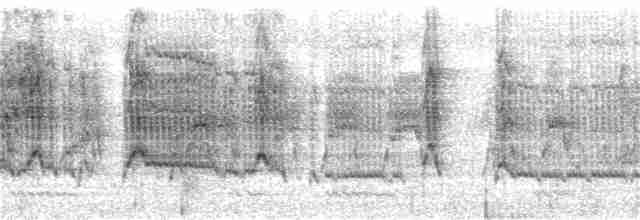 Кратеропа сіролоба - ML168553721