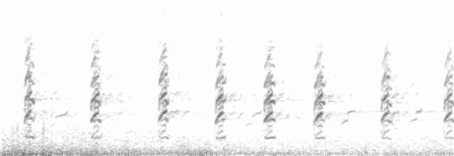 Кулик-довгоніг чорнокрилий - ML168575621