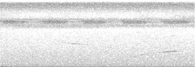 White-cheeked Antbird - ML168581621