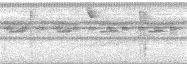 Great Tinamou - ML168582161