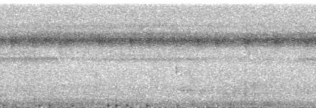 Helmeted Friarbird (Tenggara) - ML168588