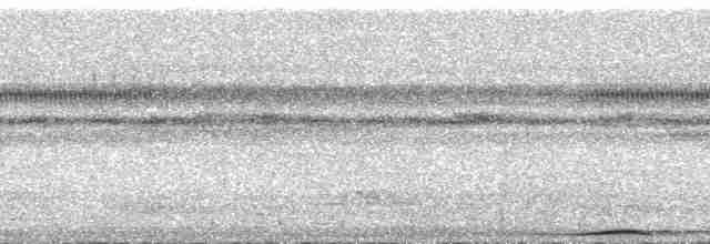 holub černošíjný - ML168592