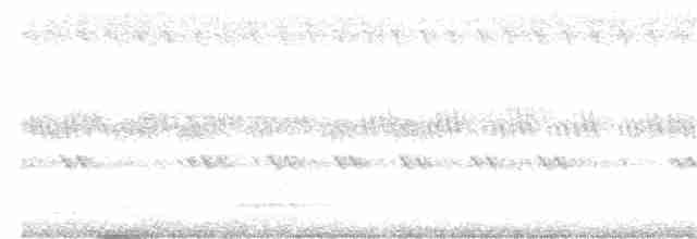 Сова-голконіг далекосхідна - ML168592071
