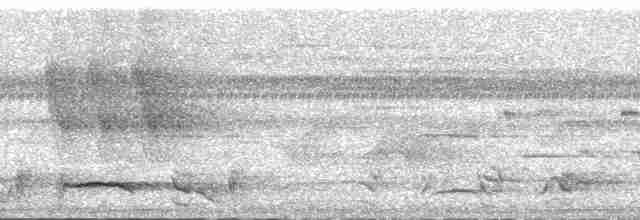 Helmlederkopf [buceroides-Gruppe] - ML168594