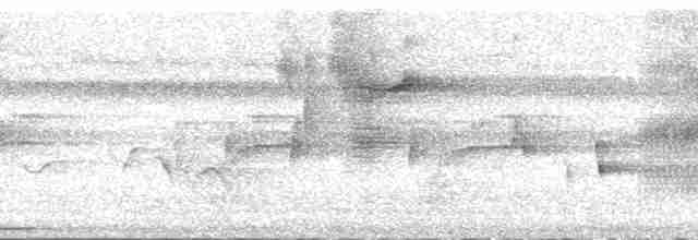 holub černošíjný - ML168596