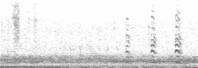Лиска жовтодзьоба - ML168604791