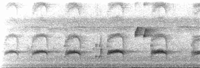 Мухолов-клинодзьоб сірий - ML168617891